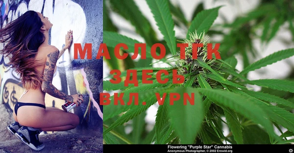 амф Арсеньев