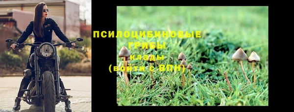 бутират Аркадак