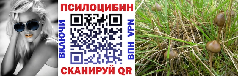 MEGA как зайти  цена   Ишим  Галлюциногенные грибы прущие грибы 